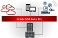 Oracle SOA Suite гибкая сервис-ориентированная архитектура